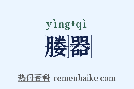 媵器是什么意思的图片